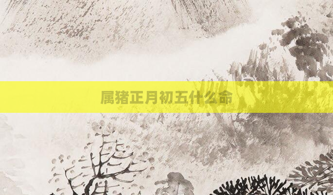 属猪正月初五什么命