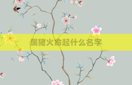 属猪火命起什么名字