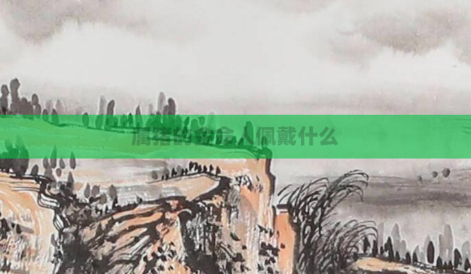 属猪的金命人佩戴什么