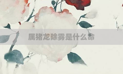 属猪龙除雾是什么命