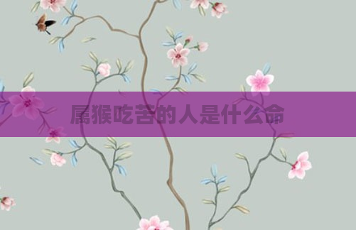 属猴吃苦的人是什么命