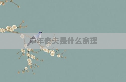 中年丧夫是什么命理