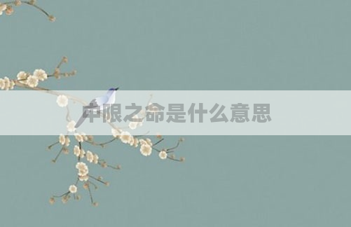 中限之命是什么意思