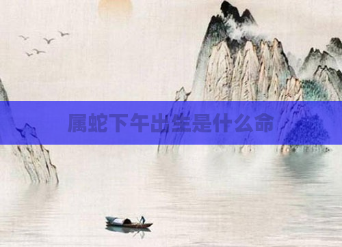 属蛇下午出生是什么命