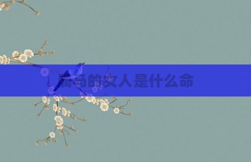 属马的女人是什么命
