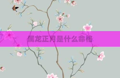 属龙正月是什么命格