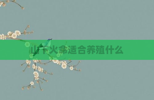 山下火命适合养殖什么