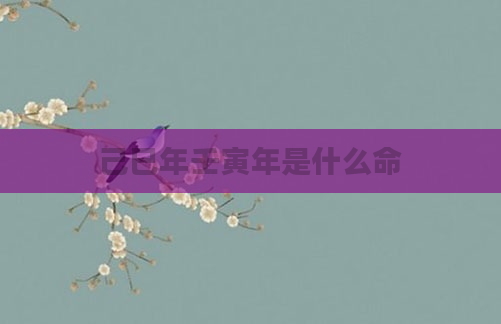 己巳年壬寅年是什么命