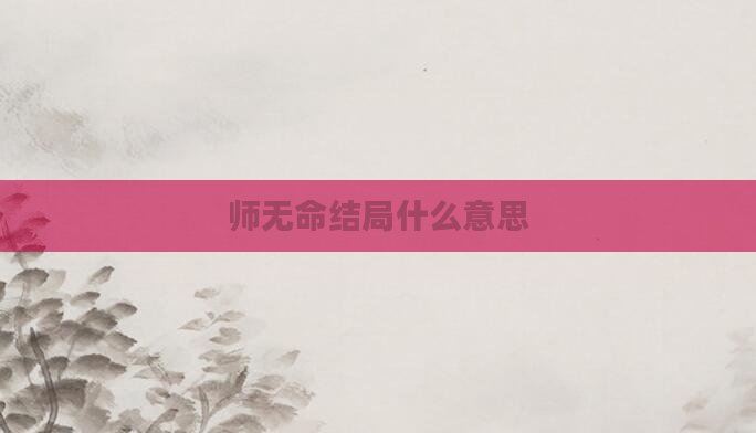 师无命结局什么意思
