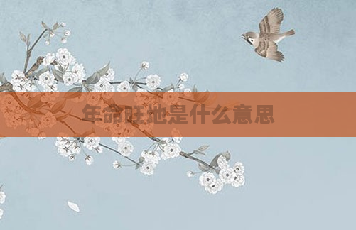 年命旺地是什么意思
