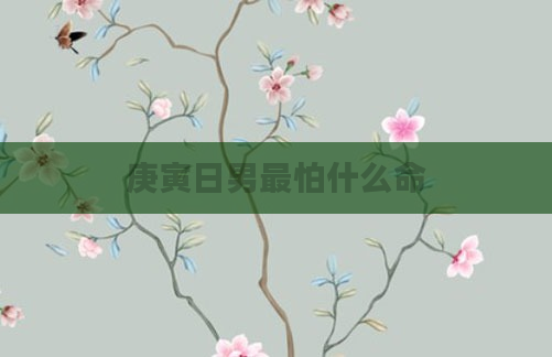 庚寅日男最怕什么命