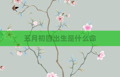 五月初四出生是什么命