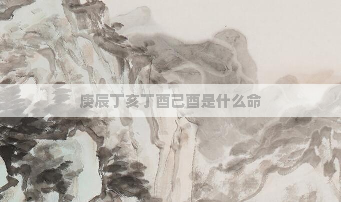 庚辰丁亥丁酉己酉是什么命