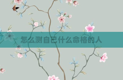 怎么测自己什么命格的人