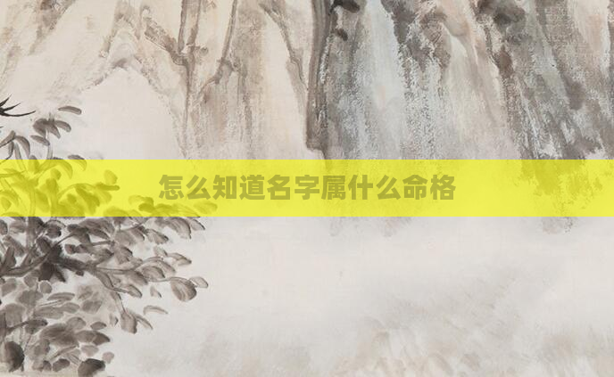 怎么知道名字属什么命格