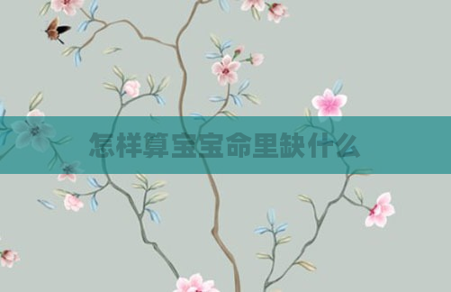 怎样算宝宝命里缺什么
