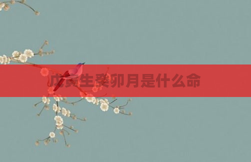 戊寅生癸卯月是什么命