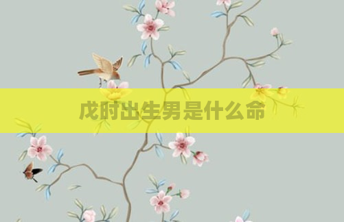 戊时出生男是什么命