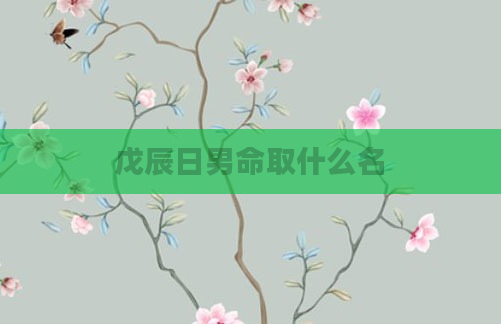 戊辰日男命取什么名