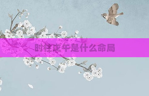 时柱戊午是什么命局