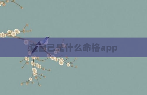 查自己是什么命格app