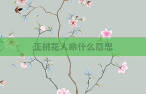 正桃花入命什么意思