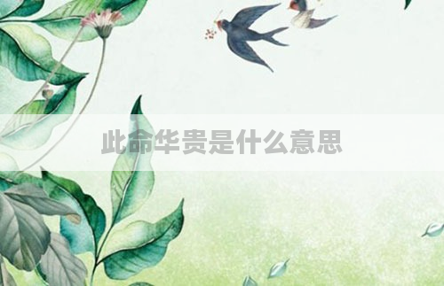 此命华贵是什么意思