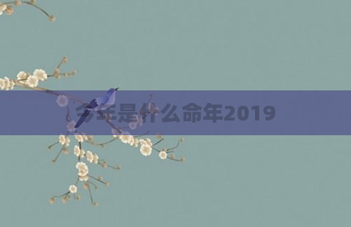 今年是什么命年2019
