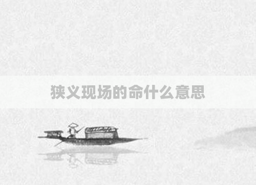 狭义现场的命什么意思