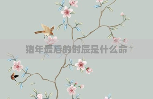 猪年最后的时辰是什么命