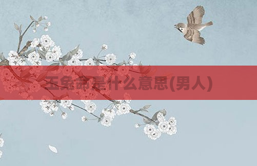 玉兔命是什么意思(男人)