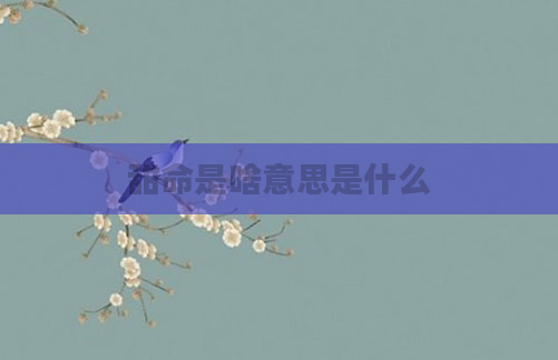 甜命是啥意思是什么