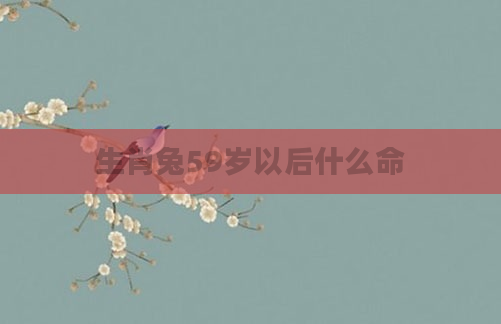 生肖兔59岁以后什么命