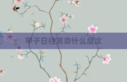 甲子日柱男命什么层次
