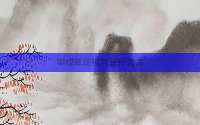甲戌年属狗男是什么命