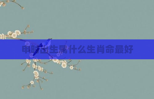 申时出生属什么生肖命最好