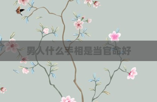 男人什么手相是当官命好