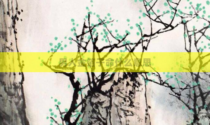 男人金箔子命什么意思