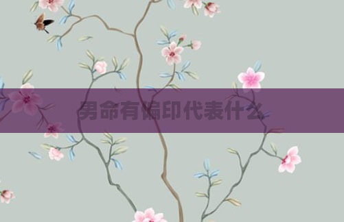 男命有偏印代表什么