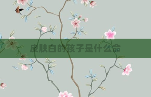 皮肤白的孩子是什么命