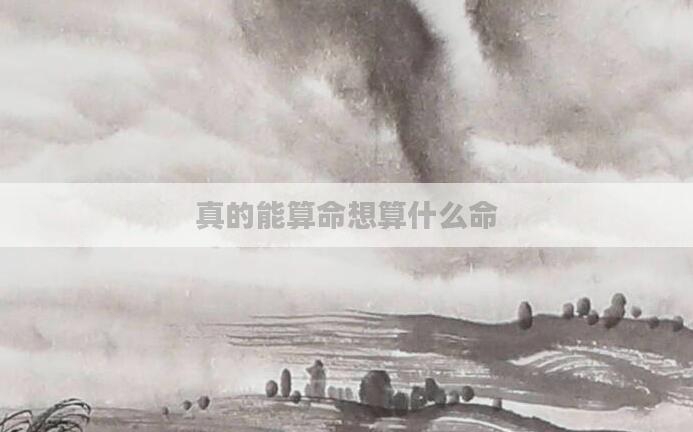 真的能算命想算什么命