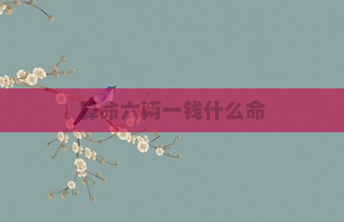 算命六两一钱什么命