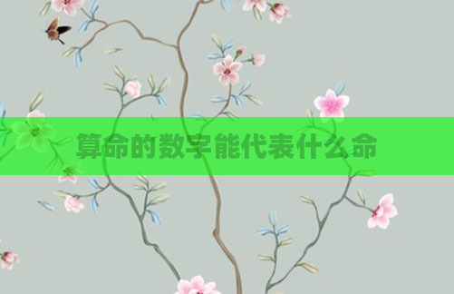 算命的数字能代表什么命