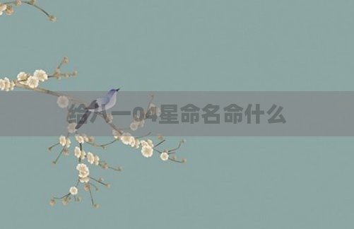 给八一04星命名命什么