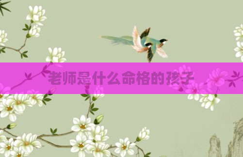 老师是什么命格的孩子
