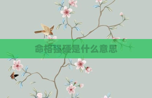 命格强硬是什么意思