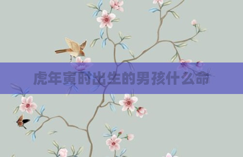 虎年寅时出生的男孩什么命