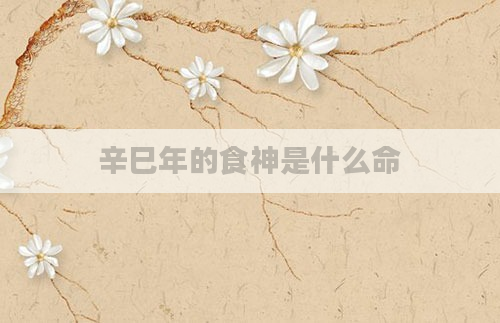辛巳年的食神是什么命