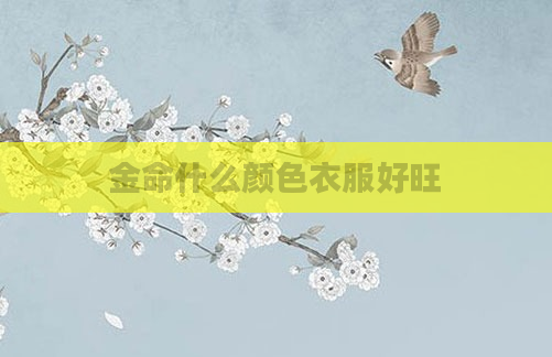 金命什么颜色衣服好旺