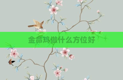金命鸡做什么方位好